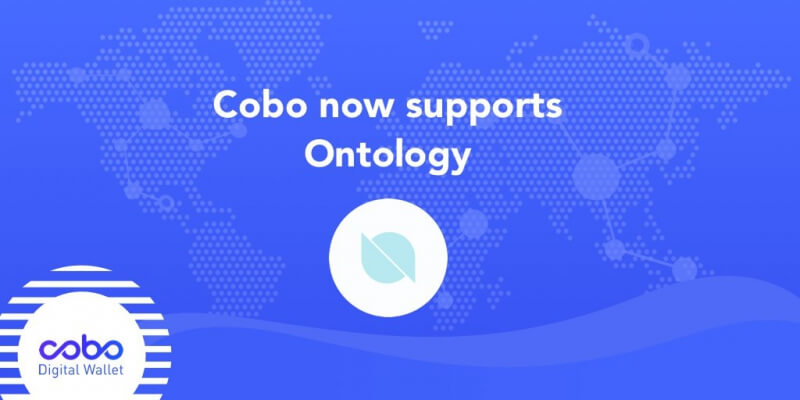 CoboWallet now support Ontology (ONT)