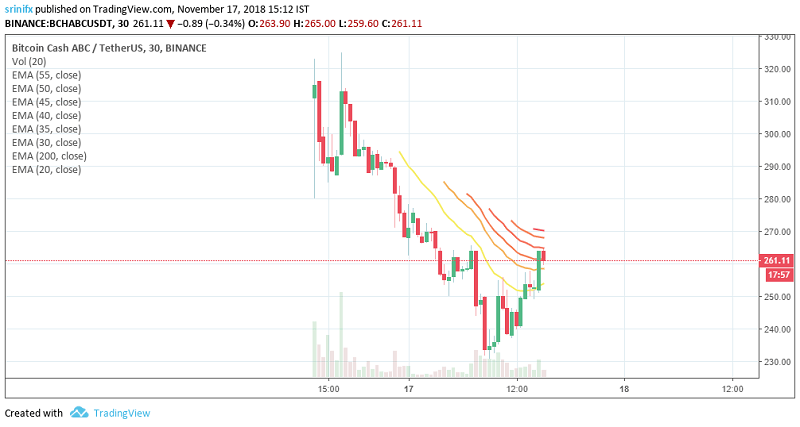 Bitcoin Cash price prediction and technical analysis based on EMA, SMA 17th November 2018