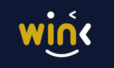 WINk (WIN) trading started on Binance with 800% ROI