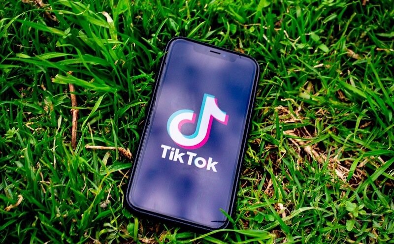 Donald Trump Enforced Executive Orders to Address the Threats Posed by TikTok and WeChat